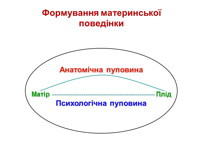 Формування материнської поведінки Анатомічна пуповина   Матір ---------------------------------------------- Плід Психологічна пуповина